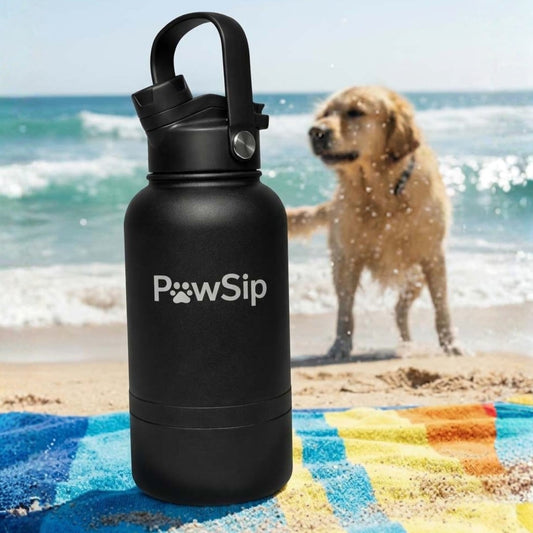 Why Every Pet Owner Needs a Portable Water Bottle for Their Dog ?